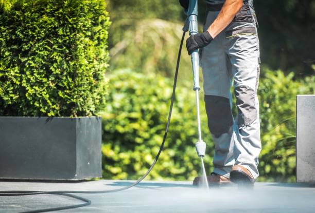 Best Pool Deck Cleaning  in Ridge, NY