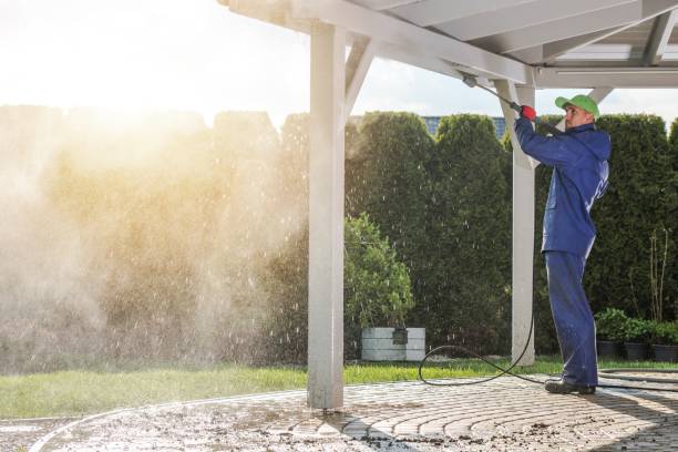 Best Animal Enclosure Cleaning  in Ridge, NY