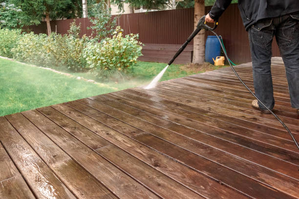 Best Dumpster Area Cleaning  in Ridge, NY