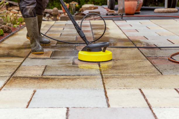 Animal Enclosure Cleaning in Ridge, NY